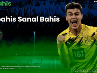 Mrbahis Sanal Bahis